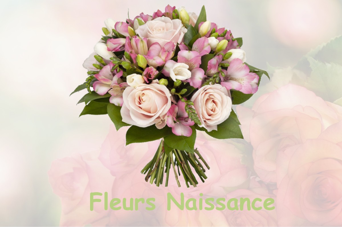 fleurs naissance DAMMARIE-SUR-SAULX