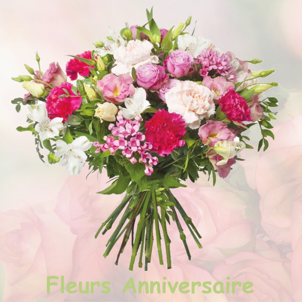 fleurs anniversaire DAMMARIE-SUR-SAULX