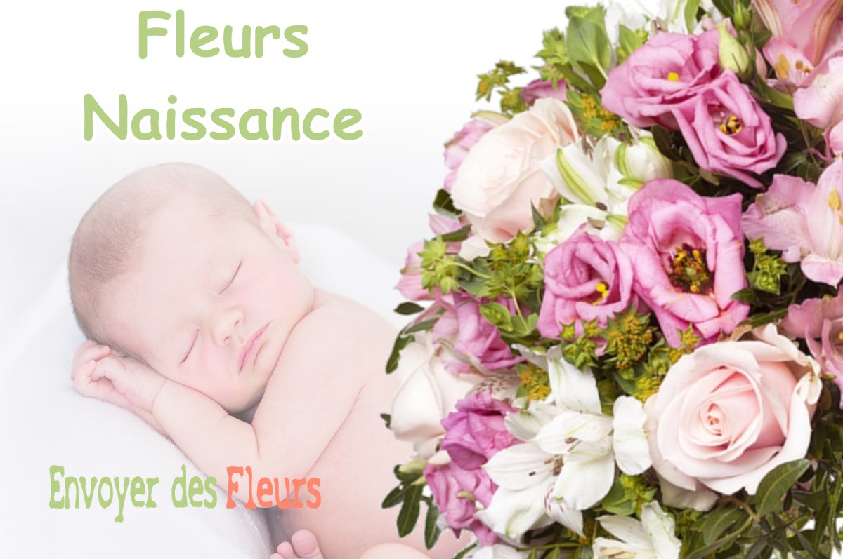 lIVRAISON FLEURS NAISSANCE à DAMMARIE-SUR-SAULX